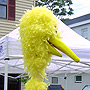 big bird