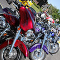 cia bike show