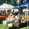 catsup bottle festival american legion 365