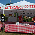 World's Largest Catsup Bottle Festival