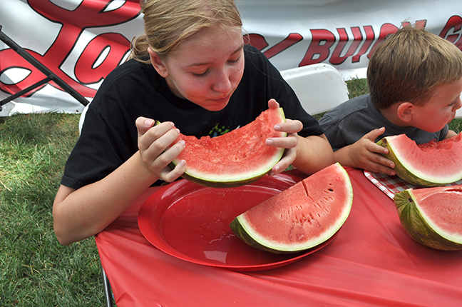 Collinsville Catsup Bottle Festival