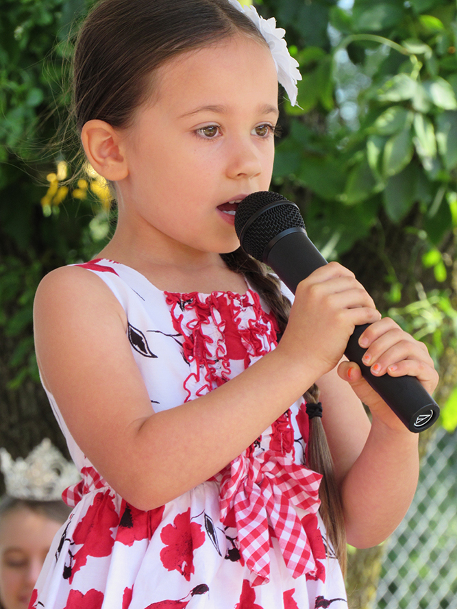 Collinsville Catsup Bottle Festival